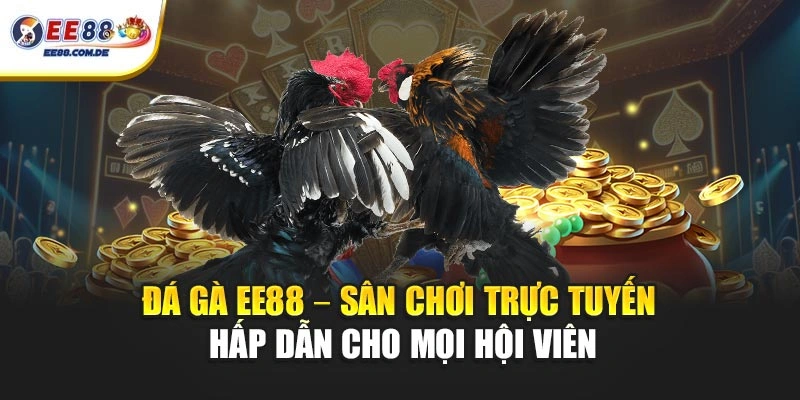 Chuyên mục đá gà EE88 phù hợp với nhiều đối tượng Chuyên mục đá gà EE88 phù hợp với nhiều đối tượng