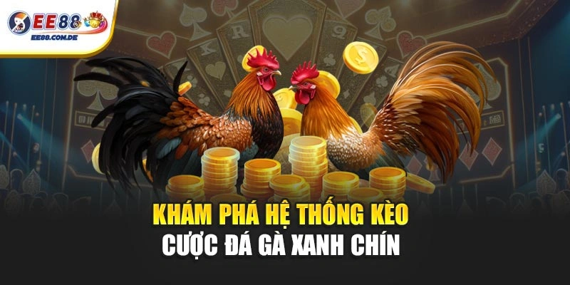 Khám phá hệ thống kèo cược đá gà xanh chín Khám phá hệ thống kèo cược đá gà xanh chín