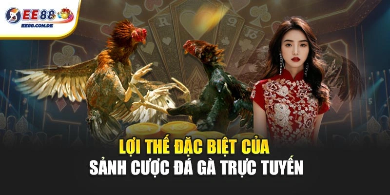 Lợi thế đặc biệt của sảnh cược đá gà trực tuyến Điểm đặc biệt của sảnh cược đá gà trực tuyến