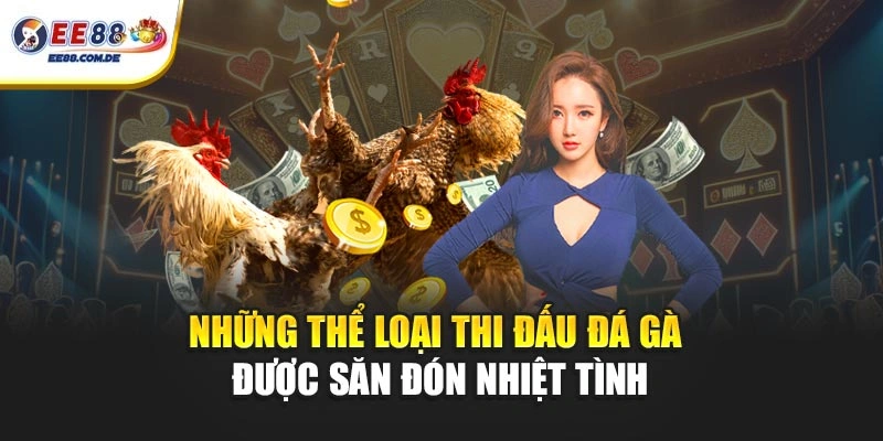 Những thể loại thi đấu đá gà được săn đón nhiệt tình Những thể loại thi đấu đá gà được săn đón nhiệt tình